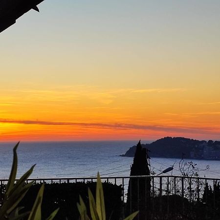 T2 Vue Mer Six-Fours-les-Plages Exterior foto